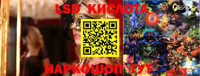 spice Брянск