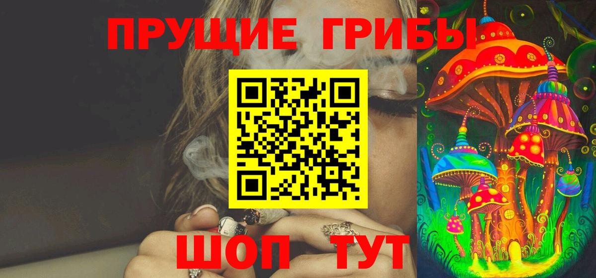 Псилоцибиновые грибы мухоморы Солнечногорск